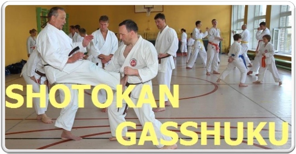 gasshuku banner 2016
